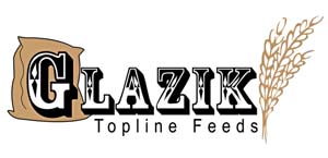 glaziks logo